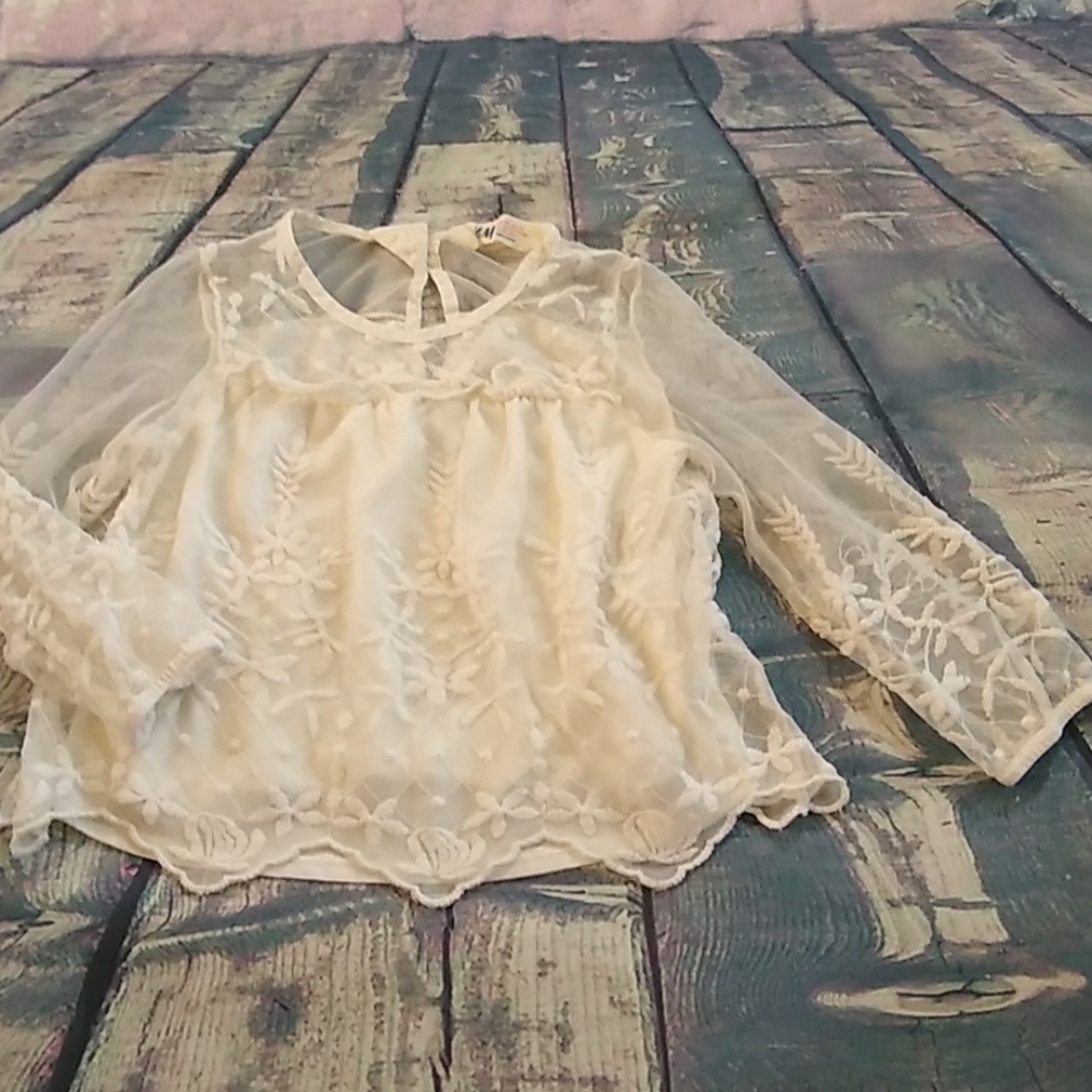 Ivory Embroidered Mesh Long Sleeved Blouse